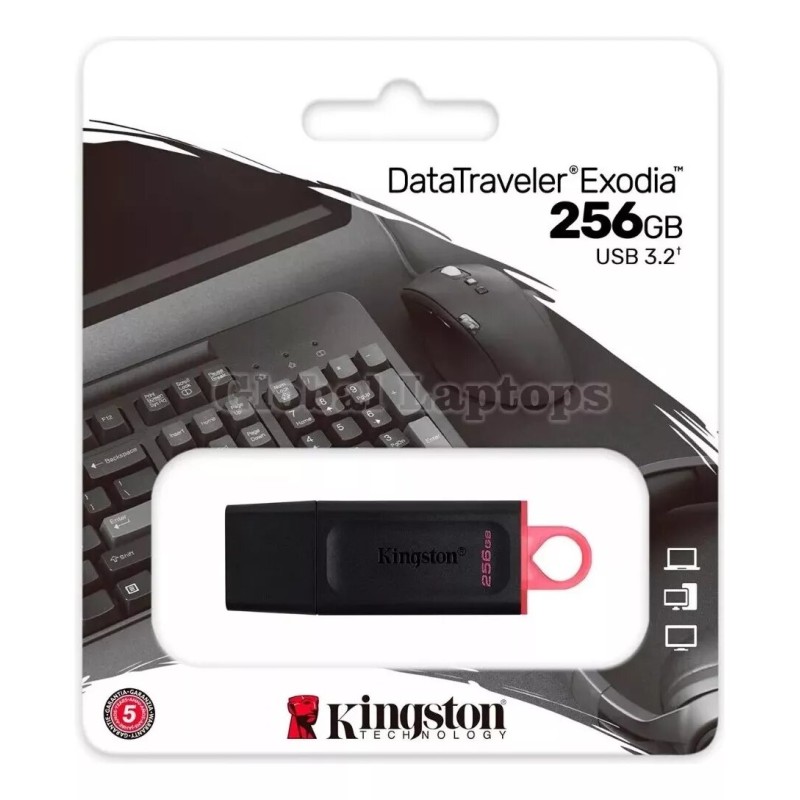 Pendrive Kingston Datatraveler Exodia Dtx 256gb 3.2 Gen 1